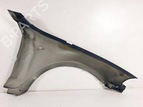Left front fenders BMW X3 (E83) 2.0 d | BP31351741C41