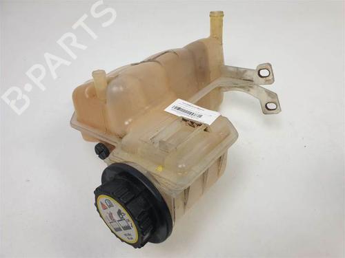 Ekspansjonstank LAND ROVER RANGE ROVER SPORT I (L320) 2.7 D 4x4 (190 hp) 9761560