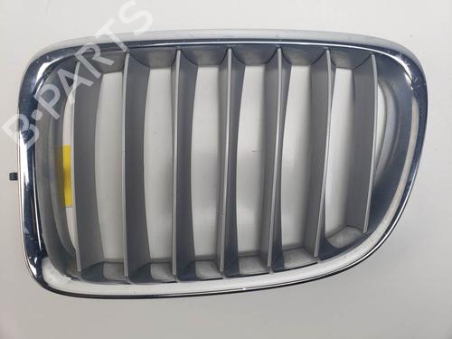 Grill Grill BMW X1 (E84) xDrive 23 d (204 hp) 25433583 25433583