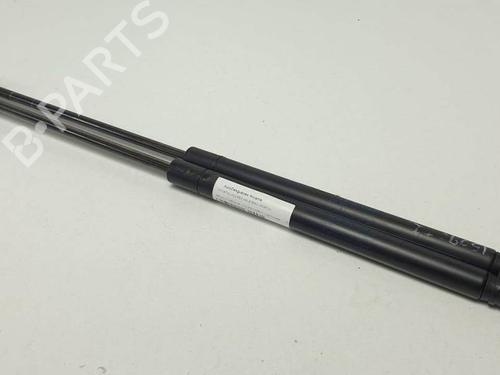 Used Tailgate lift support Tailgate lift support RENAULT MEGANE II Coupé-Cabriolet (EM0/1_) 1.9 dCi (131 hp) 25286095 25286095