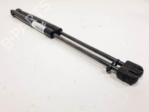 Tailgate lift support AUDI TT (8N3) 1.8 T quattro | BP13959973C138 