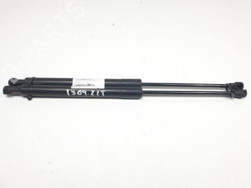 Used Tailgate lift support Tailgate lift support 13954684 13954684
