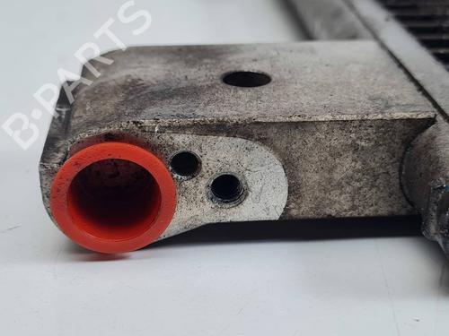 AC radiator MERCEDES-BENZ A-CLASS (W169) A 180 CDI (169.007, 169.307) | BP29417099M32 