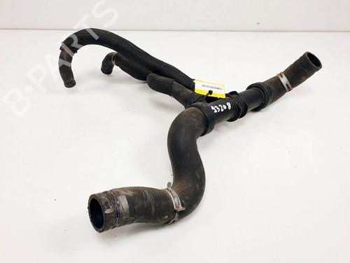 Used Pipe Pipe RENAULT GRAND SCÉNIC II (JM0/1_) 2.0 dCi (JM1K) (150 hp) 16306709 16306709