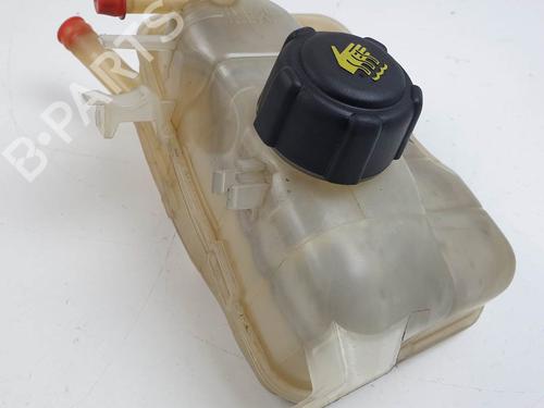 expansion-tank-renault-megane-iii-hatchback-bz01_-b3_-2008-25140837 main image