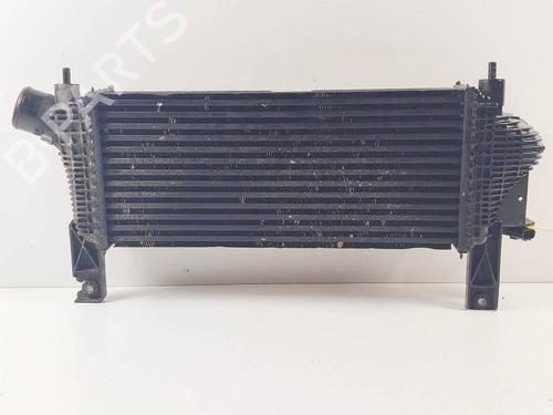 Used Intercooler Intercooler NISSAN PATHFINDER III (R51) 2.5 dCi (190 hp) 25137646 25137646