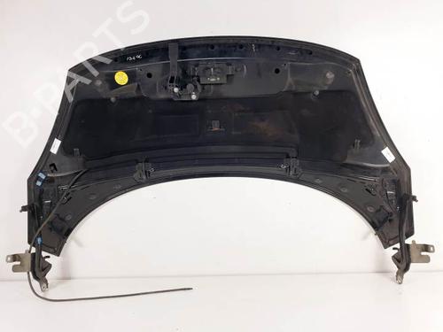 Hood RENAULT SCÉNIC III (JZ0/1_) 1.9 dCi (JZ0J, JZ1J, JZ1K, JZ1S) | BP28065801C1