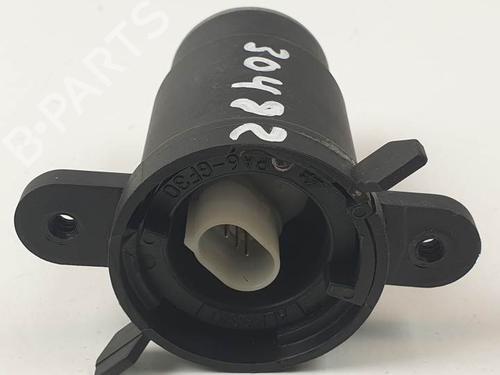 Tailgate handle LAND ROVER RANGE ROVER SPORT I (L320) 2.7 D 4x4 | BP29246425C132 