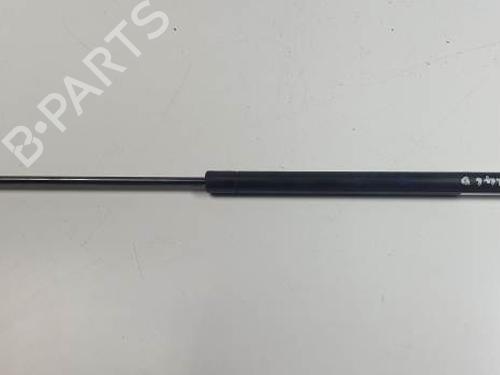 Used Hood lift support SEAT LEON (1M1) 1.9 TDI (110 hp) 28595829