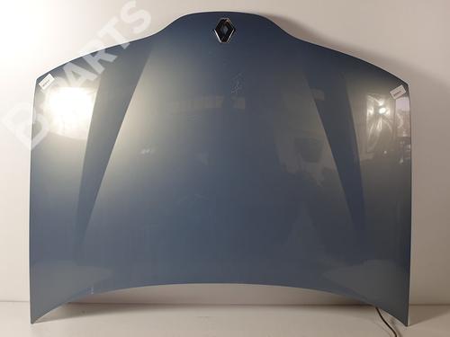 Used Hood RENAULT LAGUNA II (BG0/1_) 1.9 dCi (BG08, BG0G) (120 hp) 11863416