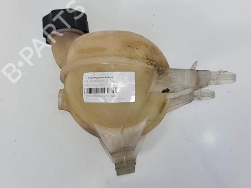 Expansion tank CITROËN C3 II (SC_) 1.4 VTi 9652621280