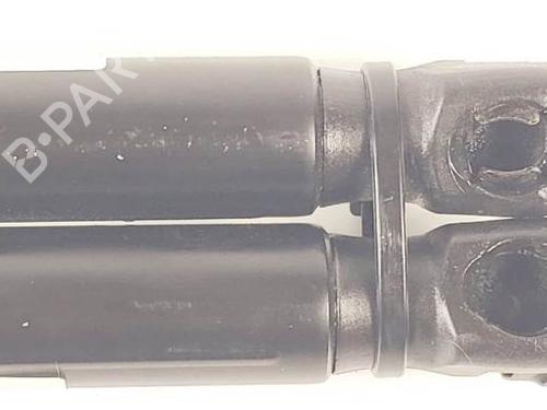 Tailgate lift support FORD FOCUS II (DA_, HCP, DP) 1.8 TDCi | BP18052124C138 