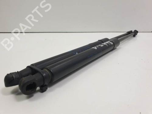 Hood lift support BMW 1 (E87) 118 d | BP13955427C139 
