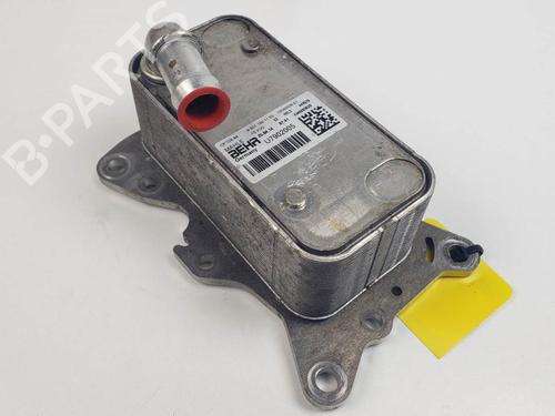 Used Oil radiator Oil radiator MERCEDES-BENZ C-CLASS Coupe (C204) C 220 CDI (204.302) (170 hp) 25139911 25139911
