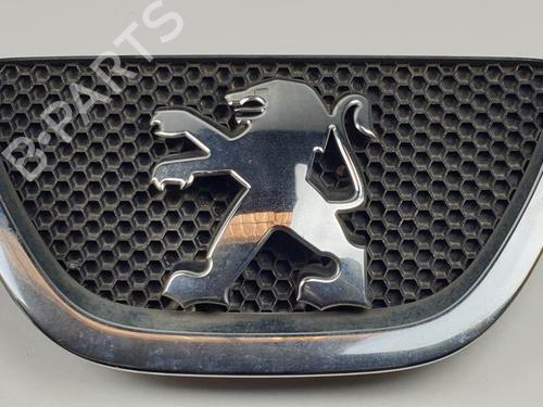 Grill Grill PEUGEOT 107 (PM_, PN_) 1.0 (68 hp) 27358569 27358569