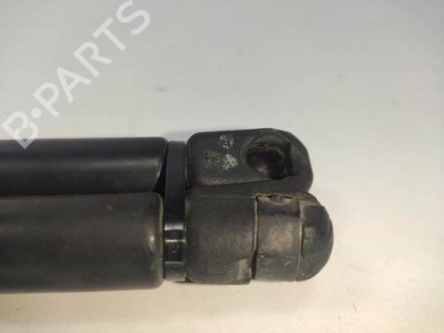 Tailgate lift support MERCEDES-BENZ M-CLASS (W163) ML 270 CDI (163.113) | BP13954668C138 