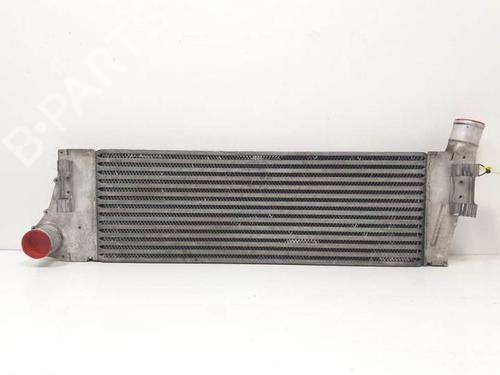 Intercooler RENAULT MEGANE II (BM0/1_, CM0/1_) 1.5 dCi (BM0F, BM0T, BM2B, CM0F, CM0T) | BP29271975M30 