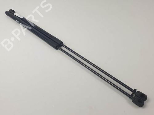 Used Hood lift support LAND ROVER RANGE ROVER EVOQUE (L538) 2.0 D (150 hp) 25144395