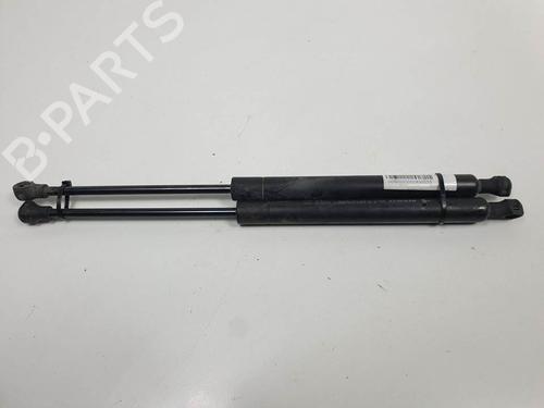 Gasfjeder motorhjelm Gasfjeder motorhjelm RENAULT ESPACE IV (JK0/1_) 3.0 dCi (JK0J, JK0V) (177 hp) 13956873 13956873