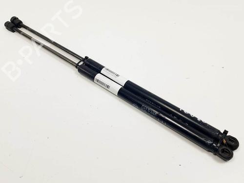 Used Tailgate lift support SSANGYONG KYRON 2.0 Xdi (141 hp) 24914557