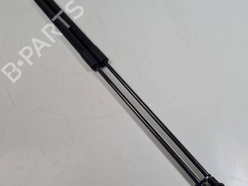 tailgate-lift-support-nissan-juke-f15-2010-2011-2012-2013-2014-2015-2016-2017-2018-2019-29321772 main image