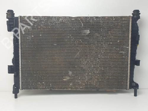 water-radiator-ford-c-max-ii-dxacb7-dxaceu-2010-2011-2012-2013-2014-2015-2016-2017-2018-2019-25128850 main image