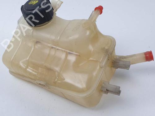 Ekpansionstank Ekpansionstank RENAULT SCÉNIC III (JZ0/1_) 1.5 dCi (110 hp) 25117374 25117374