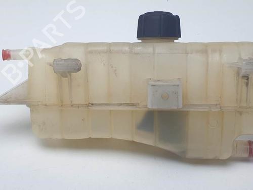 Used Expansion tank Expansion tank RENAULT CLIO III (BR0/1, CR0/1) 2.0 16V (BR0C, BR0K, CR0C, CR0K) (139 hp) 24930540 24930540