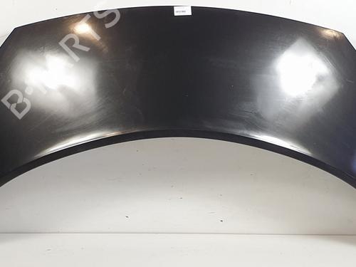 Hood RENAULT GRAND SCÉNIC II (JM0/1_) 2.0 (135 hp) 17808700