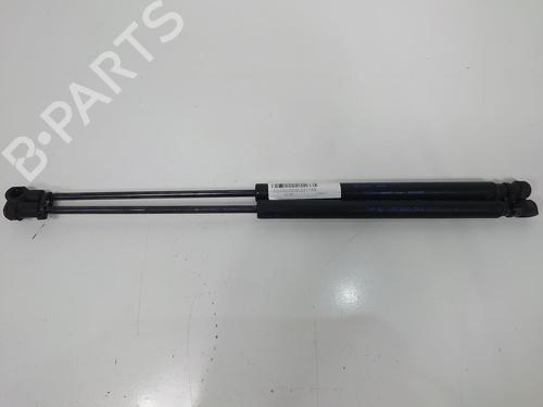 Used Hood lift support LAND ROVER RANGE ROVER SPORT I (L320) 2.7 D 4x4 (190 hp) 13954177