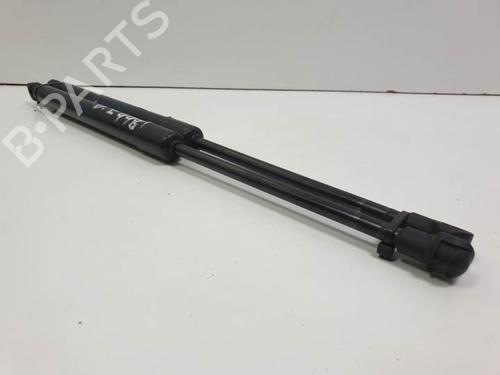 Hood lift support BMW 1 (E87) 118 d | BP13955427C139 