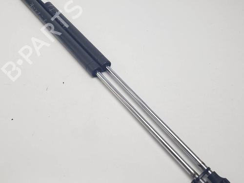 tailgate-lift-support-renault-laguna-ii-bg01_-2001-2002-2003-2004-2005-2006-2007-25453608 main image