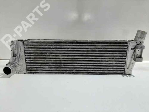 intercooler-renault-megane-ii-saloon-lm01_-19-dci-lm0g-lm1g-lm2c-160132153f-8200115540-160130200f01-2003-6862816 main image