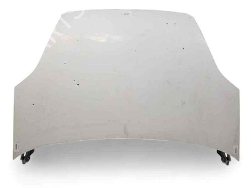 hood-fiat-doblo-cargo-263_-2010-24984148 main image