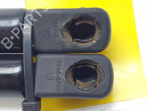 Tailgate lift support SKODA OCTAVIA II (1Z3) 1.9 TDI | BP25140301C138 