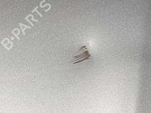 Hood JAGUAR XF I (X250) 2.7 D | BP16691621C1 
