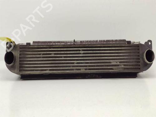 Used Intercooler LAND ROVER RANGE ROVER SPORT I (L320) 2.7 D 4x4 (190 hp) 10105066