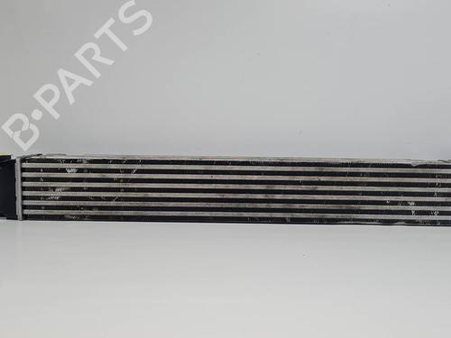 Intercooler Intercooler RENAULT MEGANE III Hatchback (BZ0/1_, B3_) 1.5 dCi (BZ0C) (90 hp) 34515935 34515935