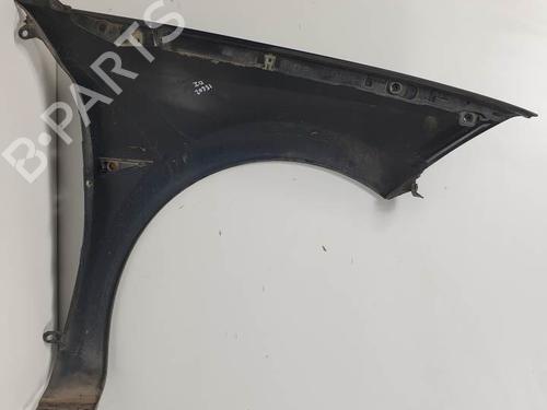 Left front fenders RENAULT MEGANE II Coupé-Cabriolet (EM0/1_) 1.6 | BP24338986C41 
