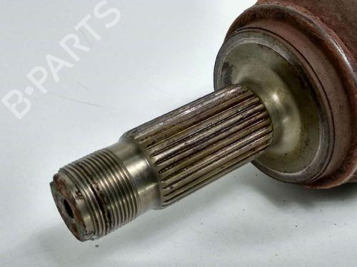  - Image 3