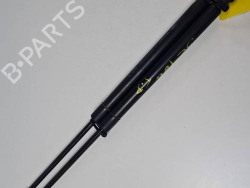 hood-lift-support-renault-megane-iv-hatchback-b9amn_-2015-34611161 main image