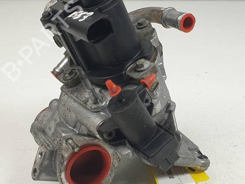 Egr NISSAN NV200 Van 1.5 dCi 90 (M20, M20N, M20M) | BP29932573M69 