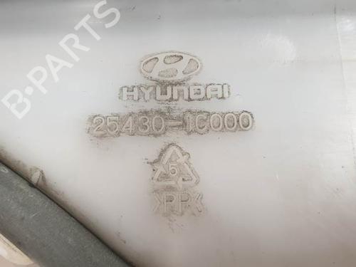 Expansion tank HYUNDAI GETZ (TB) 1.1 | BP9541510C120 