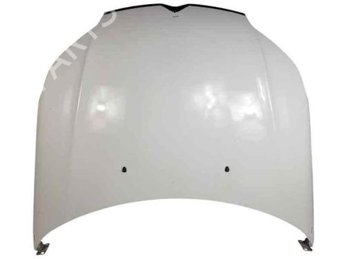 hood-citroen-c5-iii-rd_-2008-2009-2010-2011-2012-2013-2014-2015-2016-2017-29271927 main image