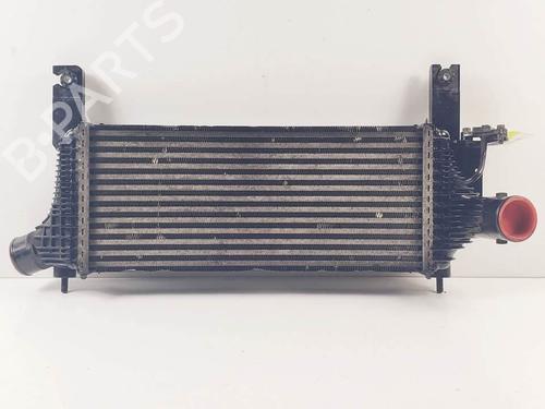 Intercooler NISSAN PATHFINDER III (R51) 2.5 dCi | BP25137646M30 - Image 3
