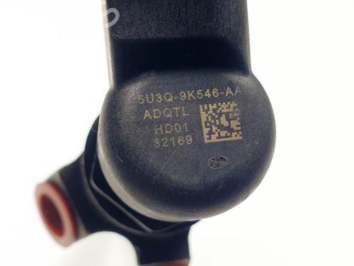 Injector JAGUAR S-TYPE II (X200) 2.7 D | BP25139528M100 