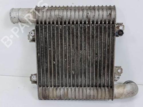 Intercooler KIA CARENS II MPV (FJ) 2.0 CRDi | BP6853191M30 