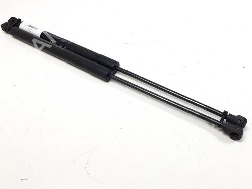 tailgate-lift-support-dacia-sandero-ii-2012-28388566 main image