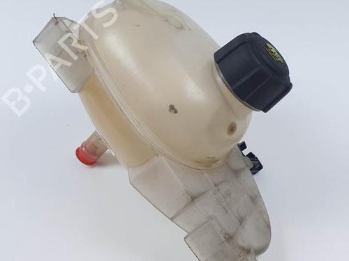 Used Expansion tank SMART FORFOUR Hatchback (453) 1.0 (453.042, 453.043) (71 hp) 24915218