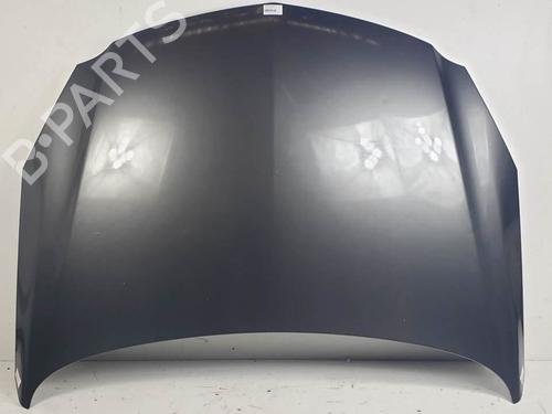 hood-opel-insignia-a-g09-2008-2009-2010-2011-2012-2013-2014-2015-2016-2017-25403569 main image
